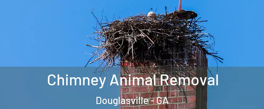 Chimney Animal Removal Douglasville - GA