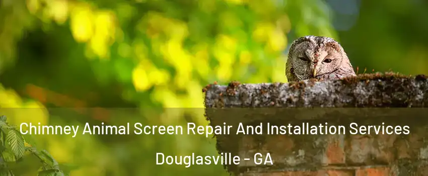  Chimney Animal Screen Repair And Installation Services Douglasville - GA