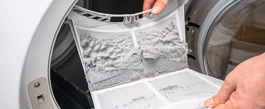Best Dryer Lint Removal Company in Douglasville, Georgia