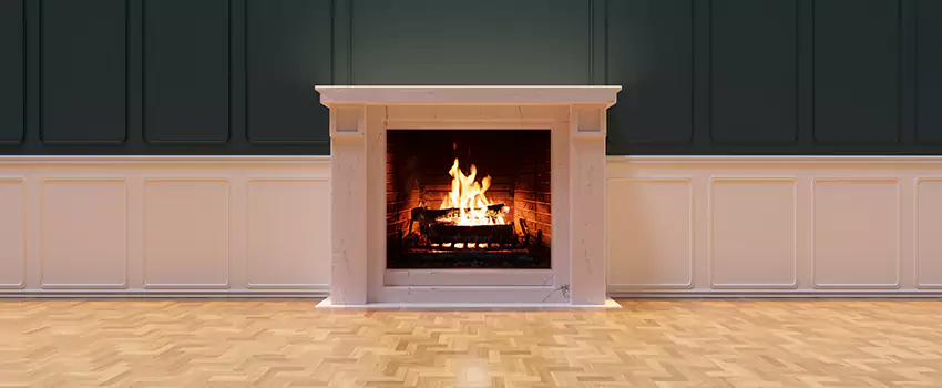 Napoleon Electric Fireplaces Inspection Service in Douglasville, Georgia