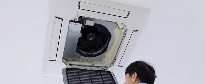 Benefits of Professional Air Duct Cleaning in Douglasville, Georgia