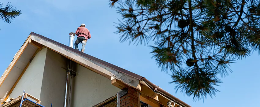 Birds Removal Contractors from Chimney in Douglasville, GA