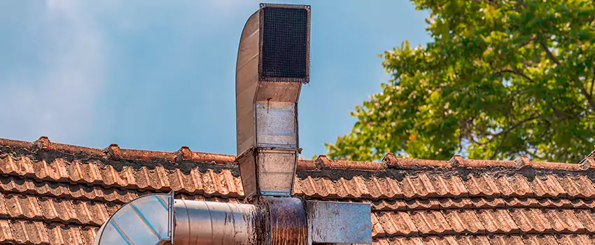 Chimney Blockage Removal in Douglasville, Georgia